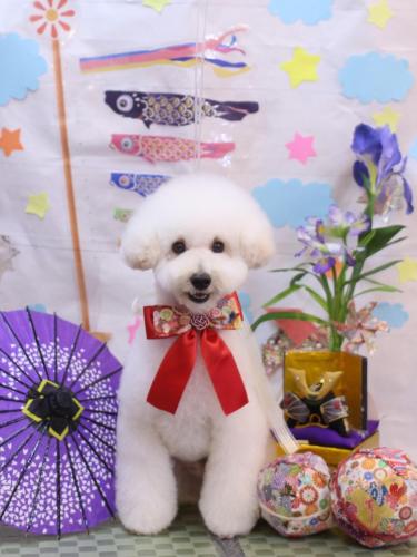 20240511ちくわくん